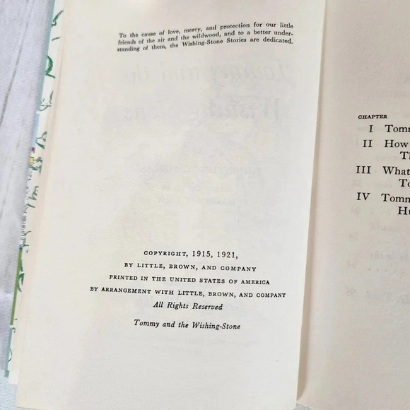 Vintage 1920s Hardcover Storybook Tommy and the Wishing Stone Illustrated - Picture 8 of 15